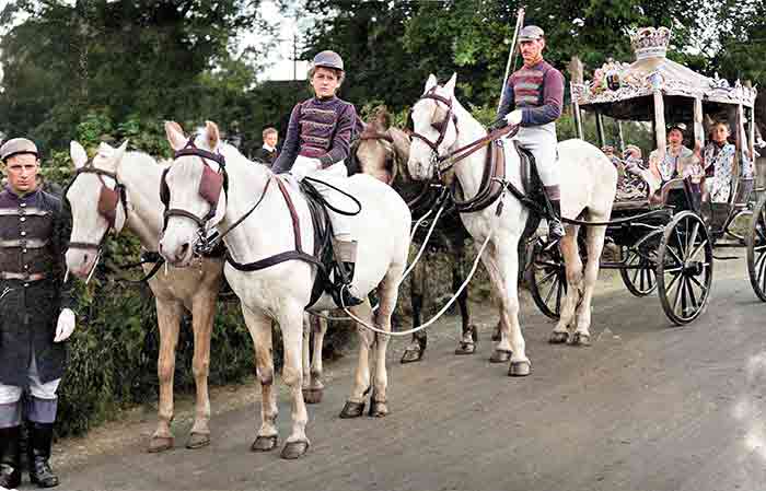 Wilbee Coronation Coach